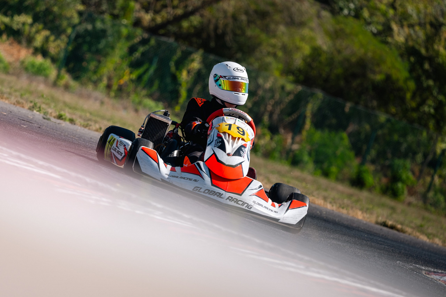 Кубок РАФ «Серия Rotax Max», Ростов, 7 этап